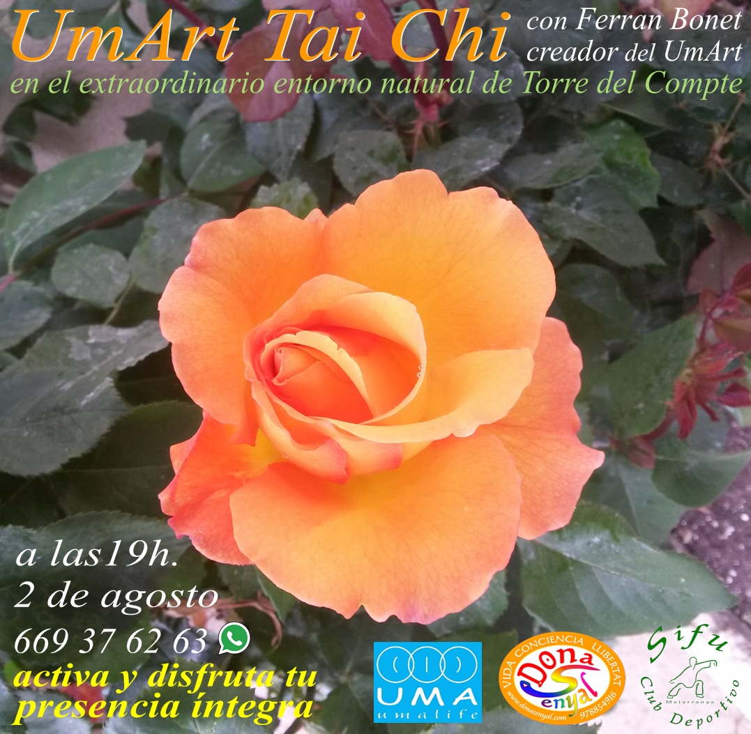 Taller UmArt Tai Chi